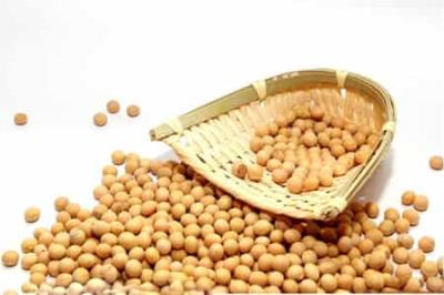 夏季减肥食谱推荐,10种让女人越吃越漂亮的美容养颜的食物 减肥食谱 第1张-瘦瘦减肥网 夏季减肥食谱推荐,10种让女人越吃越漂亮的美容养颜的食物 减肥食谱 第1张