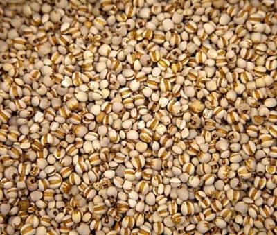 春季如何健康减肥,5种粗食越吃越瘦 饮食减肥 第9张-瘦瘦减肥网 春季如何健康减肥,5种粗食越吃越瘦 饮食减肥 第9张