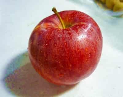 快速有效健康减肥食谱,自然而然瘦成窈窕淑女 减肥食谱 第4张-瘦瘦减肥网 快速有效健康减肥食谱,自然而然瘦成窈窕淑女 减肥食谱 第4张