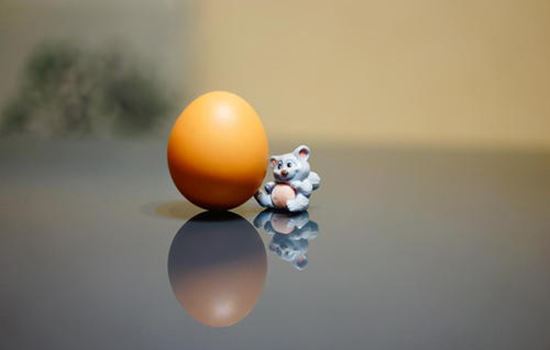 减肥期间晚上能吃鸡蛋吗(减肥期间晚上能吃鸡肉吗) 饮食减肥 第1张