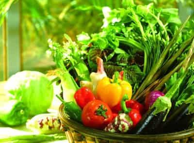 冬季胖人懒人素食减肥法,不节食不运动照样窈窕 懒人减肥 第4张-瘦瘦减肥网 冬季胖人懒人素食减肥法,不节食不运动照样窈窕 懒人减肥 第4张