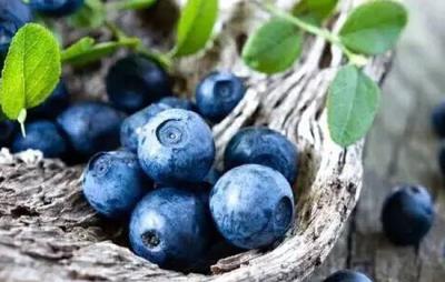 秋季吃什么水果减肥,10大秋季时令水果快快吃起来 减肥水果 第6张-瘦瘦减肥网 秋季吃什么水果减肥,10大秋季时令水果快快吃起来 减肥水果 第6张