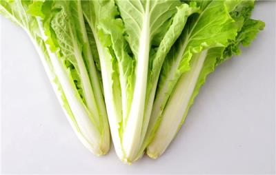 饮食减肥晚餐吃什么好,这样搭配吃不会胖又减肥 饮食减肥 第4张-瘦瘦减肥网 饮食减肥晚餐吃什么好,这样搭配吃不会胖又减肥 饮食减肥 第4张