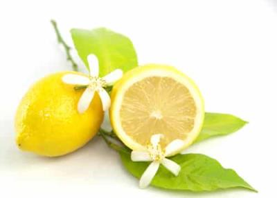 神奇一周柠檬快速减肥法,刮油甩肉不反弹 快速减肥 第2张-瘦瘦减肥网 神奇一周柠檬快速减肥法,刮油甩肉不反弹 快速减肥 第2张