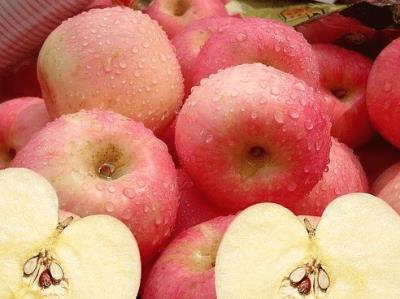 哪些食物可以有助于减肥,8大天然食品为你帮忙 减肥 第6张-瘦瘦减肥网 哪些食物可以有助于减肥,8大天然食品为你帮忙 减肥 第6张