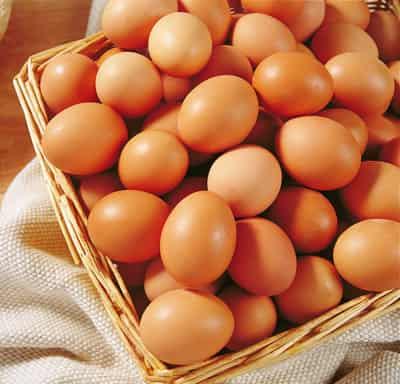 春季黄瓜鸡蛋快速减肥法,懒人疯狂甩肉20斤无压力 快速减肥 第2张-瘦瘦减肥网 春季黄瓜鸡蛋快速减肥法,懒人疯狂甩肉20斤无压力 快速减肥 第2张