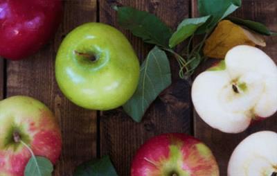 苹果减肥法可靠吗，要求减肥者不吃主食不科学 饮食减肥 第3张