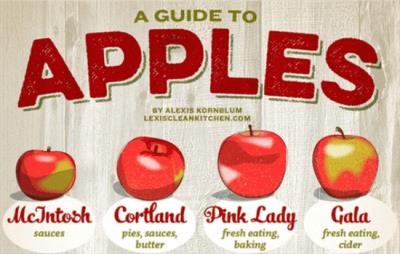 苹果减肥法可靠吗，要求减肥者不吃主食不科学 饮食减肥 第5张