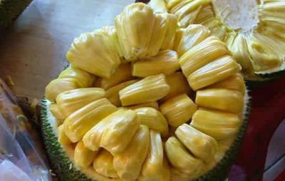 吃菠萝蜜会胖吗，怎么吃菠萝蜜避免发胖 饮食减肥 第1张