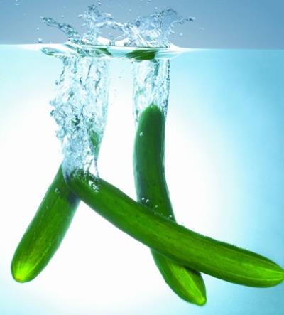 “绿色”减肥进行时,4大减肥瓜类来帮忙 减肥 第4张-瘦瘦减肥网 “绿色”减肥进行时,4大减肥瓜类来帮忙 减肥 第4张