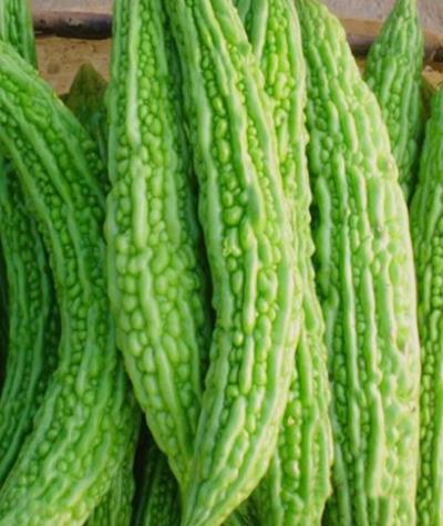 “绿色”减肥进行时,4大减肥瓜类来帮忙 减肥 第1张-瘦瘦减肥网 “绿色”减肥进行时,4大减肥瓜类来帮忙 减肥 第1张