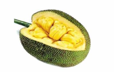 吃菠萝蜜会胖吗，怎么吃菠萝蜜避免发胖 饮食减肥 第7张