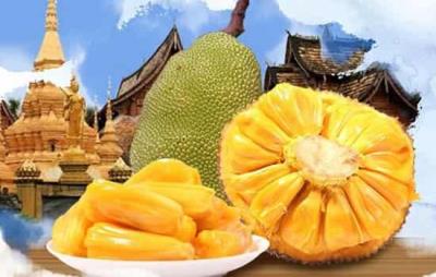 吃菠萝蜜会胖吗，怎么吃菠萝蜜避免发胖 饮食减肥 第5张