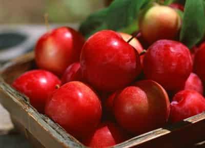 懒人三天减肥法,苹果+豆腐速甩肉 懒人减肥 第1张-瘦瘦减肥网 懒人三天减肥法,苹果+豆腐速甩肉 懒人减肥 第1张