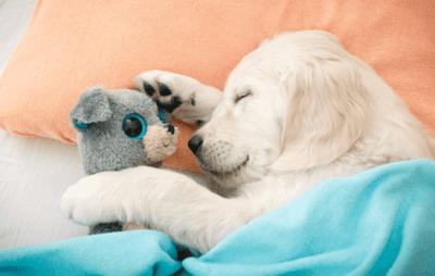 香蕉减肥法三天瘦6斤,李玟可以你为什么不行 减肥方法 第2张-瘦瘦减肥网 香蕉减肥法三天瘦6斤,李玟可以你为什么不行 减肥方法 第2张