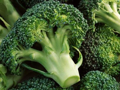 吃什么可以瘦身,热荐六种瘦身有强效的食物 饮食减肥 第5张-瘦瘦减肥网 吃什么可以瘦身,热荐六种瘦身有强效的食物 饮食减肥 第5张