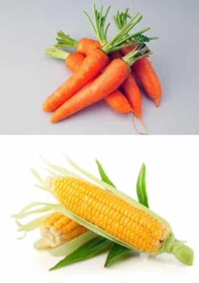 冬季减肥粥食谱,懒人不运动减肥法 懒人减肥 第4张-瘦瘦减肥网 冬季减肥粥食谱,懒人不运动减肥法 懒人减肥 第4张