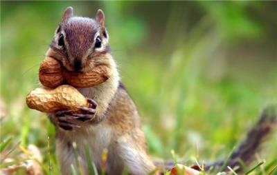 健身饮食注意事项，烹饪时一定要无糖少油少调料 减肥 第4张