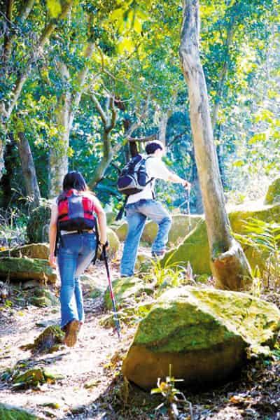 什么运动减肥最有效,教你夏季有氧减肥妙招 运动减肥 第2张-瘦瘦减肥网 什么运动减肥最有效,教你夏季有氧减肥妙招 运动减肥 第2张