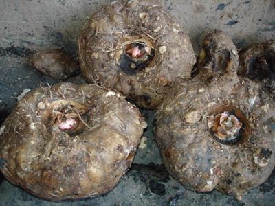 哪种快速减肥法最有效,日常生活减肥法让你享瘦 快速减肥 第2张-瘦瘦减肥网 哪种快速减肥法最有效,日常生活减肥法让你享瘦 快速减肥 第2张