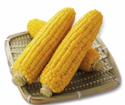 冬季重获曲线减肥法,食谱减肥回归骨感美 减肥食谱 第1张-瘦瘦减肥网 冬季重获曲线减肥法,食谱减肥回归骨感美 减肥食谱 第1张