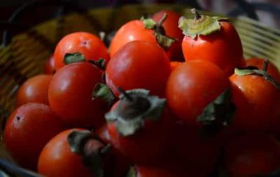 吃柿子会胖吗,秋季减肥吃柿子记得适量 饮食减肥 第6张-瘦瘦减肥网 吃柿子会胖吗,秋季减肥吃柿子记得适量 饮食减肥 第6张