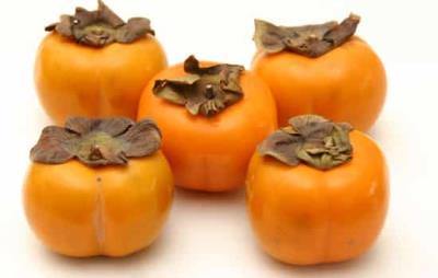 吃柿子会胖吗,秋季减肥吃柿子记得适量 饮食减肥 第3张-瘦瘦减肥网 吃柿子会胖吗,秋季减肥吃柿子记得适量 饮食减肥 第3张