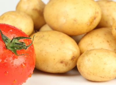 冬季如何搭配饮食减肥,懒人土豆减肥法 懒人减肥 第6张-瘦瘦减肥网 冬季如何搭配饮食减肥,懒人土豆减肥法 懒人减肥 第6张