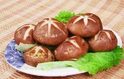 秋季减肥吃什么好,秋季饮食减肥全攻略 饮食减肥 第2张-瘦瘦减肥网 秋季减肥吃什么好,秋季饮食减肥全攻略 饮食减肥 第2张