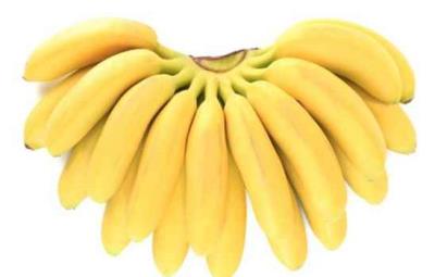 秋季减肥吃什么好,秋季饮食减肥全攻略 饮食减肥 第1张-瘦瘦减肥网 秋季减肥吃什么好,秋季饮食减肥全攻略 饮食减肥 第1张