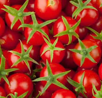 秋季最有效的减肥法,西红柿减肥法7天瘦7斤 减肥方法 第5张-瘦瘦减肥网 秋季最有效的减肥法,西红柿减肥法7天瘦7斤 减肥方法 第5张