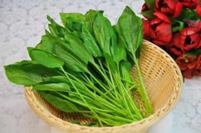 怎样瘦腿最快最有效,7种食物快速瘦腿方法推荐 瘦腿 第4张-瘦瘦减肥网 怎样瘦腿最快最有效,7种食物快速瘦腿方法推荐 瘦腿 第4张