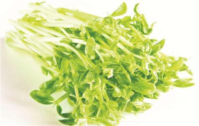 减肥食谱一周瘦10斤,适合冬季的一周减肥食谱 减肥食谱 第5张-瘦瘦减肥网 减肥食谱一周瘦10斤,适合冬季的一周减肥食谱 减肥食谱 第5张