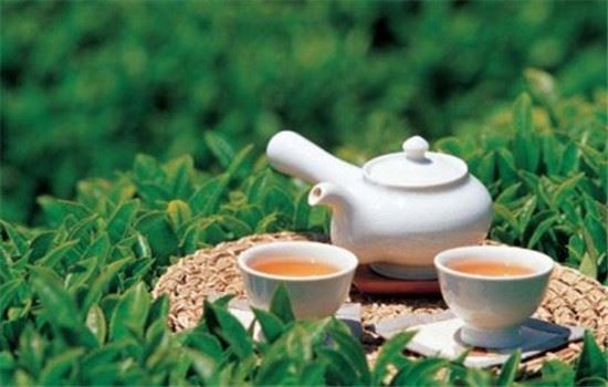 喝茶减肥误区,喝茶需要注意的几点 减肥误区 第4张-瘦瘦减肥网 喝茶减肥误区,喝茶需要注意的几点 减肥误区 第4张