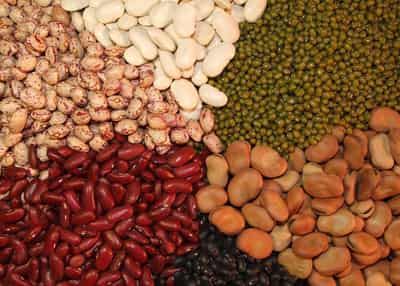 明星教你如何减肥,大S素食瘦身法 减肥 第1张-瘦瘦减肥网 明星教你如何减肥,大S素食瘦身法 减肥 第1张