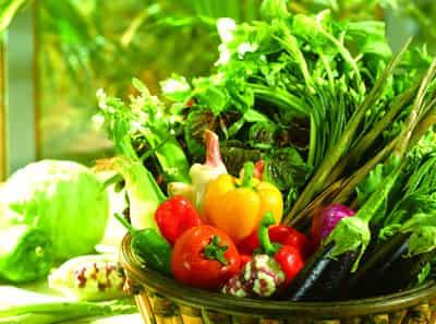 秋季快速减肥饮食误区,教你健康有效减肥方法 快速减肥 第3张-瘦瘦减肥网 秋季快速减肥饮食误区,教你健康有效减肥方法 快速减肥 第3张