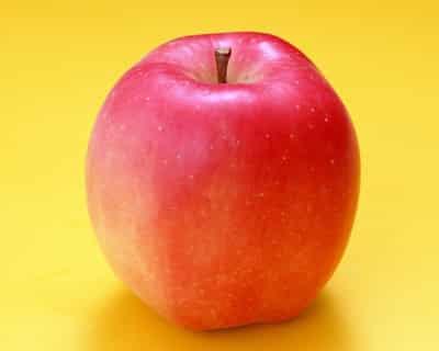 夏季山药减肥最快秘籍，教你如何吃出完美曲线 饮食减肥 第3张