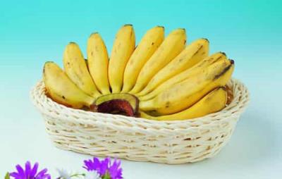 香蕉一天吃几个最好，香蕉减肥也切忌肆意多吃 饮食减肥 第2张