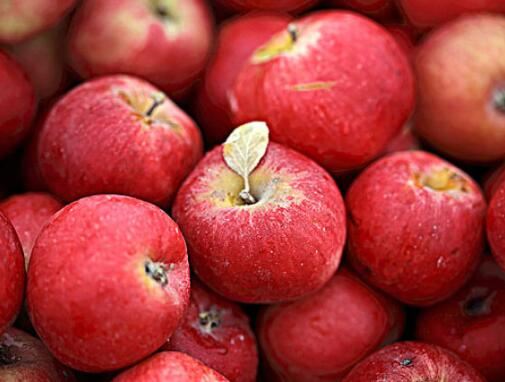 苹果减肥怎么吃,什么时候吃苹果减肥 饮食减肥 第3张-瘦瘦减肥网 苹果减肥怎么吃,什么时候吃苹果减肥 饮食减肥 第3张