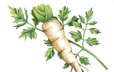 冬季减肥最有效食物，吃货吃这些不怕发胖 饮食减肥 第5张