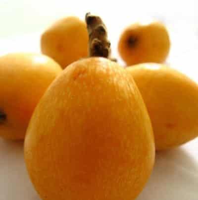 枇杷能减肥吗，解析枇杷的功效与作用 减肥 第2张