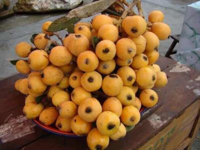 枇杷能减肥吗，解析枇杷的功效与作用 减肥 第3张