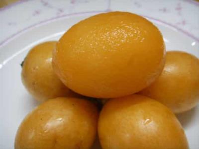 枇杷能减肥吗，解析枇杷的功效与作用 减肥 第4张