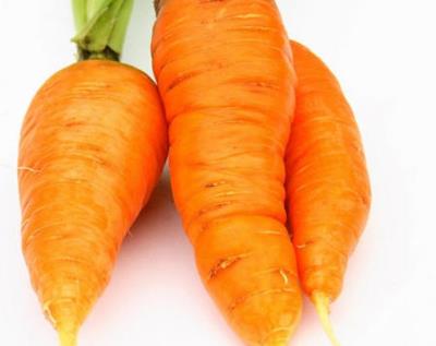 秋季吃什么蔬菜能最快减肥，健康减肥食谱让轻松你瘦下来 减肥食谱 第3张