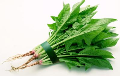 秋季吃什么蔬菜能最快减肥，健康减肥食谱让轻松你瘦下来 减肥食谱 第5张