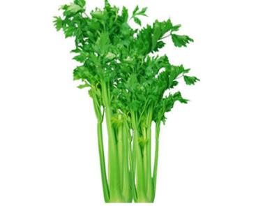 秋季吃什么蔬菜能最快减肥，健康减肥食谱让轻松你瘦下来 减肥食谱 第1张