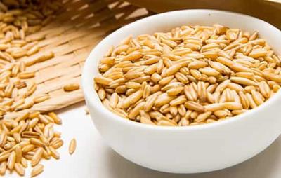 吃燕麦会回奶吗，燕麦怎么吃回奶效果好 饮食减肥 第2张