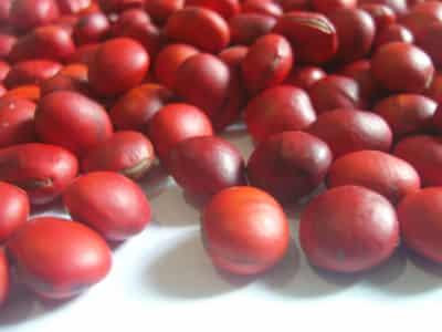 月瘦13斤大红豆减肥法,快速有效健康减肥甩脂 减肥方法 第5张-瘦瘦减肥网 月瘦13斤大红豆减肥法,快速有效健康减肥甩脂 减肥方法 第5张