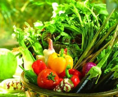 健康饮食小常识,避开减肥小误区 减肥误区 第6张-瘦瘦减肥网 健康饮食小常识,避开减肥小误区 减肥误区 第6张