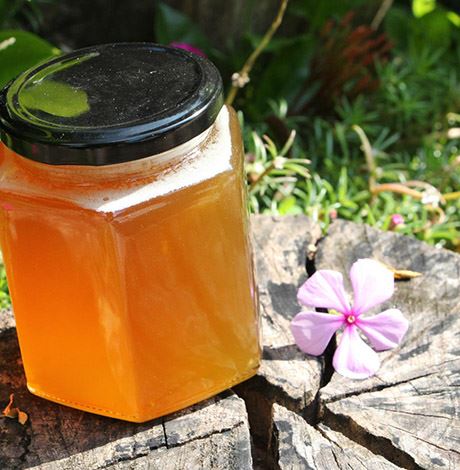 女人吃蜂蜜发胖吗(女人什么时候吃蜂蜜不会长胖) 饮食减肥 第1张